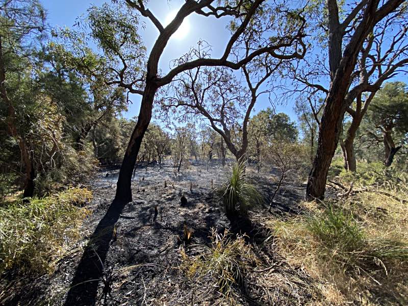 Burned reserve in Erskine