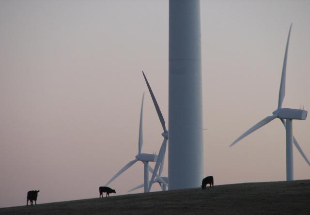 Toora turbines