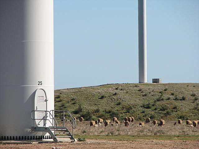 Clements Gap turbines